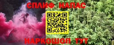 сатива Нальчик