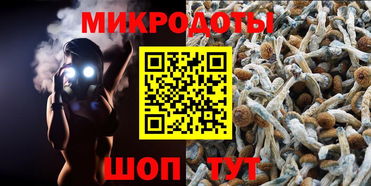 Галлюциногенные грибы Psilocybine cubensis Кинешма