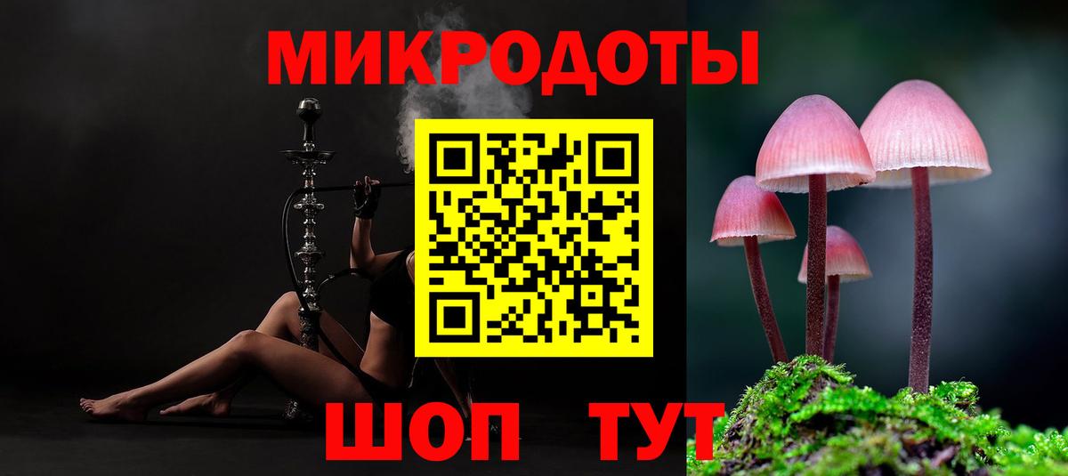 Кинешма  Галлюциногенные грибы Cubensis  Вход с VPN 